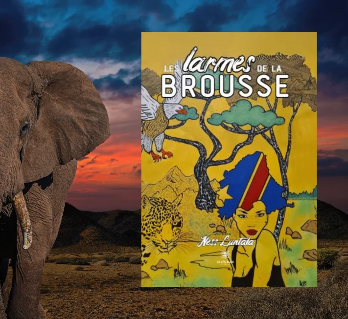 Couverture du roman "Les larmes de la brousse" de Ness Luntale. Charlène Malandain, rédactrice web SEO et experte dans le domaine culturel. 